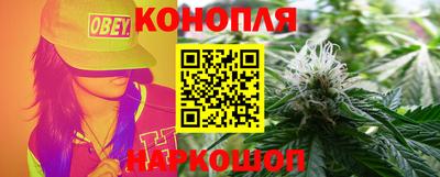 индика Лесосибирск