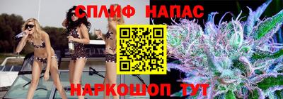 гашик Ливны