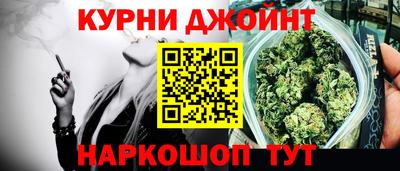 индика Лесосибирск