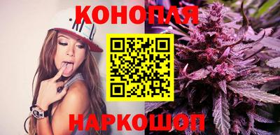 индика Лесосибирск