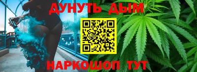 индика Лесосибирск