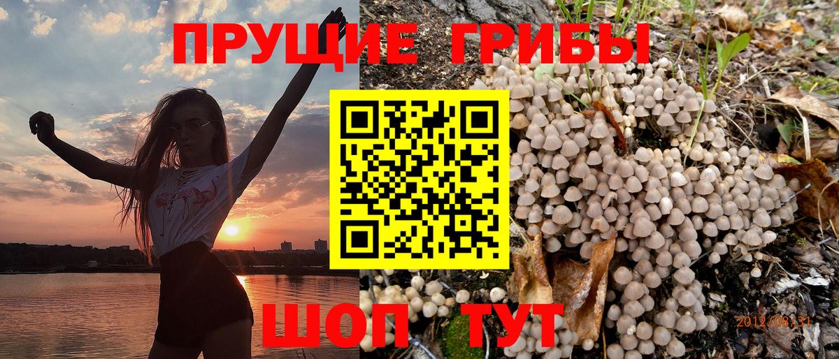 Псилоцибиновые грибы Psilocybine cubensis  Вход с VPN  Избербаш  цена   Псилоцибиновые грибы GOLDEN TEACHER 
